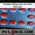 Pastillas Milagrosas De Raíz Malvada 06